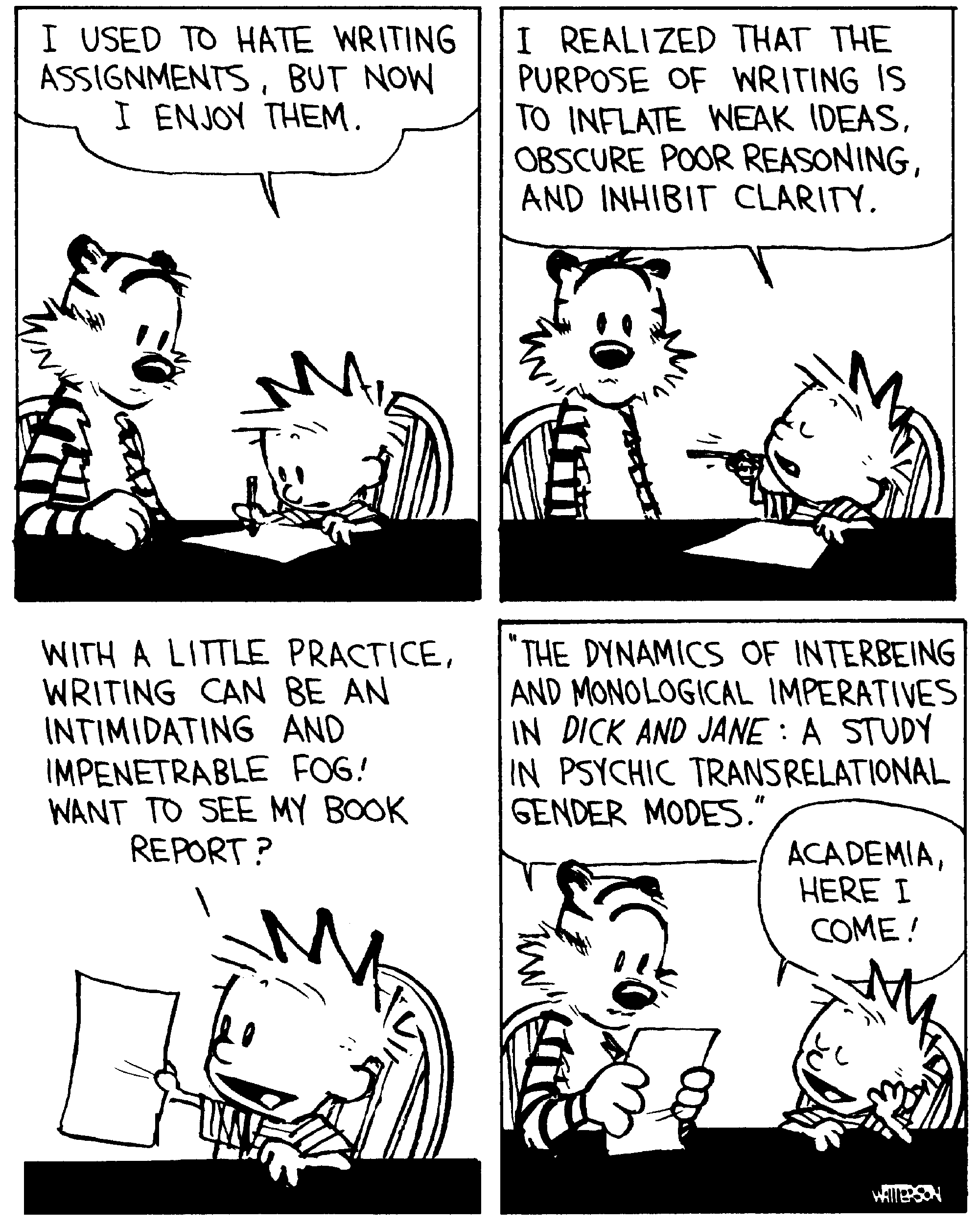 Calvin and Hobbes cartoon