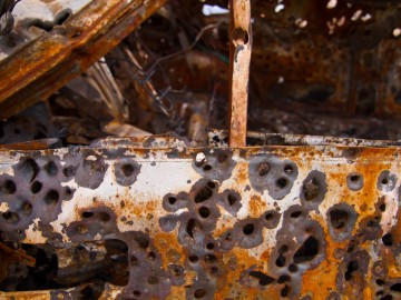 RoadsideAttractions-1