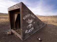Roadside Attractions