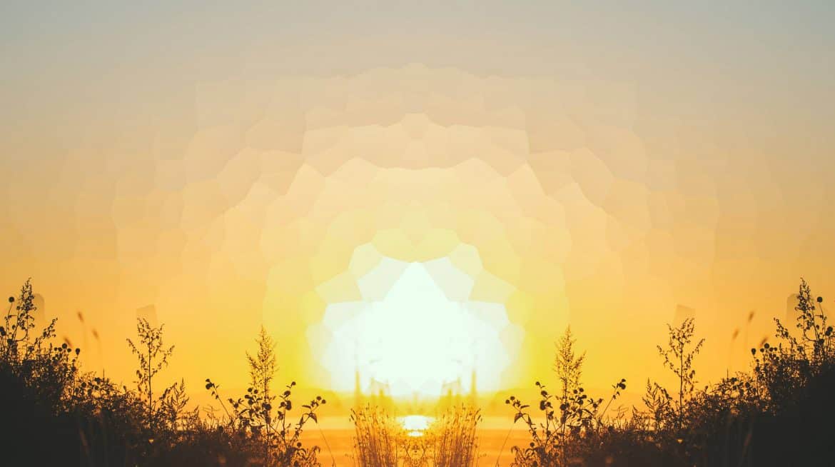 Sunshine Distraction